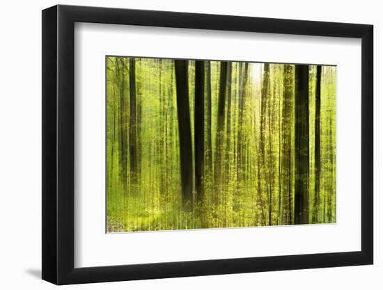 Forest Study with Motion Blur and Digital Image Processing, Deciduous Forest in the Spring-Andreas Vitting-Framed Photographic Print