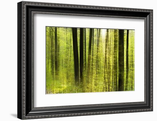 Forest Study with Motion Blur and Digital Image Processing, Deciduous Forest in the Spring-Andreas Vitting-Framed Photographic Print