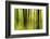 Forest Study with Motion Blur and Digital Image Processing, Deciduous Forest in the Spring-Andreas Vitting-Framed Photographic Print