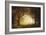 Forest Sunrise-Albert Bierstadt-Framed Giclee Print