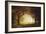 Forest Sunrise-Albert Bierstadt-Framed Giclee Print