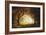 Forest Sunrise-Albert Bierstadt-Framed Giclee Print