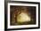 Forest Sunrise-Albert Bierstadt-Framed Giclee Print