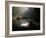 Forest Swamp Poland Europe-Mieczyslaw Wieliczko-Framed Photographic Print