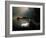 Forest Swamp Poland Europe-Mieczyslaw Wieliczko-Framed Photographic Print