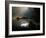 Forest Swamp Poland Europe-Mieczyslaw Wieliczko-Framed Photographic Print