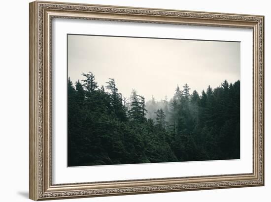 Forest Tips-Irene Suchocki-Framed Giclee Print