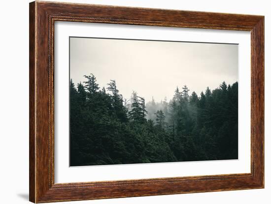 Forest Tips-Irene Suchocki-Framed Giclee Print