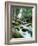 Forest, Torrent, Stones, Moss-Thonig-Framed Photographic Print