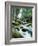 Forest, Torrent, Stones, Moss-Thonig-Framed Photographic Print