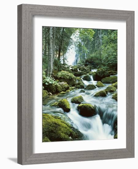 Forest, Torrent, Stones, Moss-Thonig-Framed Photographic Print