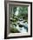 Forest, Torrent, Stones, Moss-Thonig-Framed Photographic Print