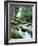 Forest, Torrent, Stones, Moss-Thonig-Framed Photographic Print