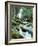 Forest, Torrent, Stones, Moss-Thonig-Framed Photographic Print