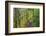 Forest Trail, Silver Falls State Park, Oregon, USA-Jamie & Judy Wild-Framed Photographic Print