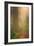 Forest Trail-Vincent James-Framed Photographic Print