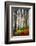 Forest Trail-Philippe Sainte-Laudy-Framed Photographic Print