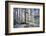 Forest Trail-Chuck Burdick-Framed Photographic Print