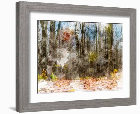 Forest Trees-Chamira Young-Framed Art Print