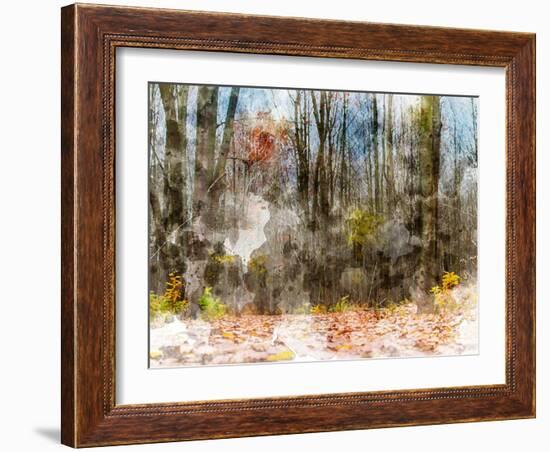 Forest Trees-Chamira Young-Framed Art Print