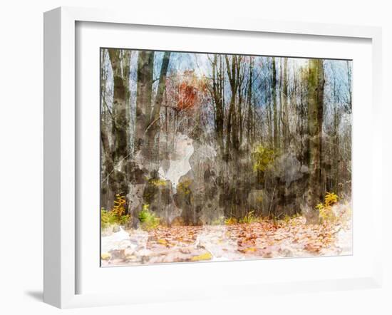 Forest Trees-Chamira Young-Framed Art Print