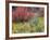 Forest Vegetation in Fall. Green Canyon. Uinta-Wasatch-Cache NF, Utah-Scott T. Smith-Framed Photographic Print
