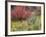 Forest Vegetation in Fall. Green Canyon. Uinta-Wasatch-Cache NF, Utah-Scott T. Smith-Framed Photographic Print