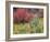 Forest Vegetation in Fall. Green Canyon. Uinta-Wasatch-Cache NF, Utah-Scott T. Smith-Framed Photographic Print