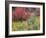 Forest Vegetation in Fall. Green Canyon. Uinta-Wasatch-Cache NF, Utah-Scott T. Smith-Framed Photographic Print