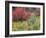 Forest Vegetation in Fall. Green Canyon. Uinta-Wasatch-Cache NF, Utah-Scott T. Smith-Framed Photographic Print