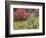 Forest Vegetation in Fall. Green Canyon. Uinta-Wasatch-Cache NF, Utah-Scott T. Smith-Framed Photographic Print