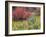 Forest Vegetation in Fall. Green Canyon. Uinta-Wasatch-Cache NF, Utah-Scott T. Smith-Framed Premium Photographic Print