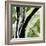 Forest View 4-Chris Paschke-Framed Premium Giclee Print