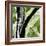 Forest View 4-Chris Paschke-Framed Premium Giclee Print