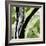 Forest View 4-Chris Paschke-Framed Premium Giclee Print