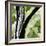 Forest View 4-Chris Paschke-Framed Premium Giclee Print