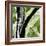 Forest View 4-Chris Paschke-Framed Giclee Print