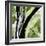 Forest View 4-Chris Paschke-Framed Giclee Print