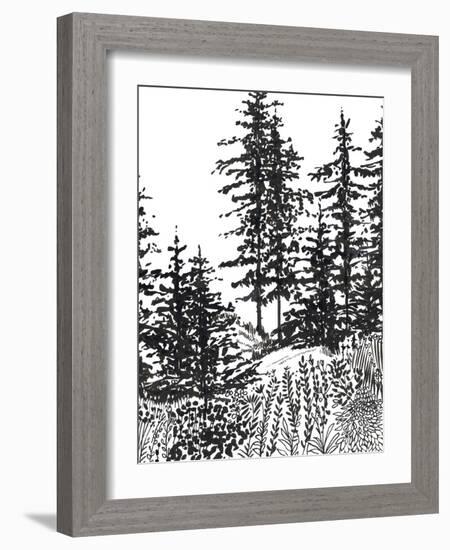 Forest Walk-Sandra Jacobs-Framed Giclee Print