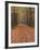 Forest Way, Paderborn, Germany-Thorsten Milse-Framed Photographic Print