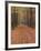 Forest Way, Paderborn, Germany-Thorsten Milse-Framed Photographic Print