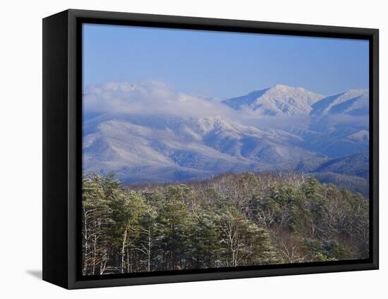 Forest with Snowcapped Mountains in Background, Great Smoky Mountains National Park, Tennessee-Adam Jones-Framed Premier Image Canvas