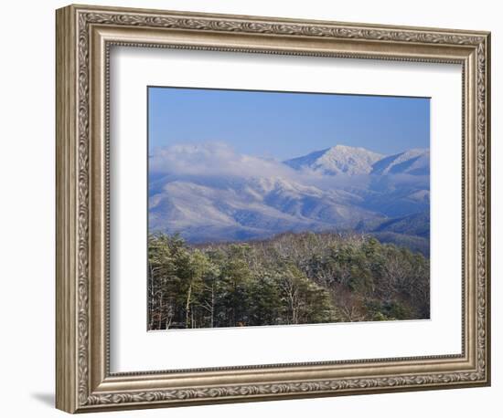 Forest with Snowcapped Mountains in Background, Great Smoky Mountains National Park, Tennessee-Adam Jones-Framed Photographic Print