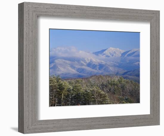 Forest with Snowcapped Mountains in Background, Great Smoky Mountains National Park, Tennessee-Adam Jones-Framed Photographic Print