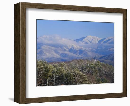 Forest with Snowcapped Mountains in Background, Great Smoky Mountains National Park, Tennessee-Adam Jones-Framed Photographic Print