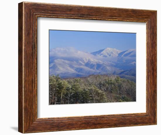 Forest with Snowcapped Mountains in Background, Great Smoky Mountains National Park, Tennessee-Adam Jones-Framed Photographic Print