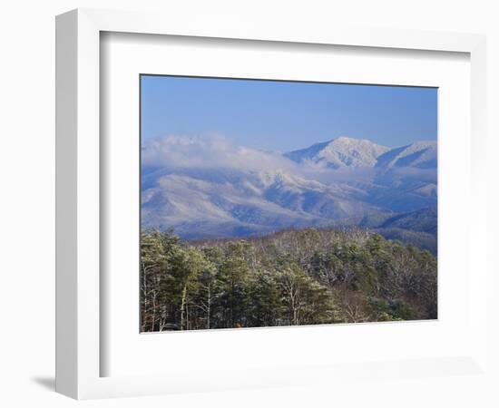 Forest with Snowcapped Mountains in Background, Great Smoky Mountains National Park, Tennessee-Adam Jones-Framed Photographic Print