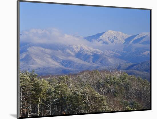 Forest with Snowcapped Mountains in Background, Great Smoky Mountains National Park, Tennessee-Adam Jones-Mounted Photographic Print