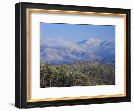 Forest with Snowcapped Mountains in Background, Great Smoky Mountains National Park, Tennessee-Adam Jones-Framed Photographic Print