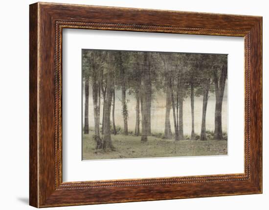 Forest-Erin Clark-Framed Art Print